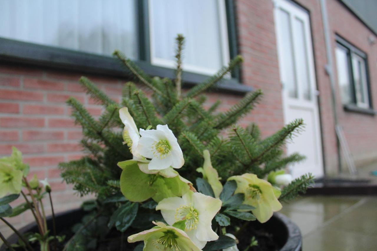 Appartamento Landzicht Woubrugge Esterno foto